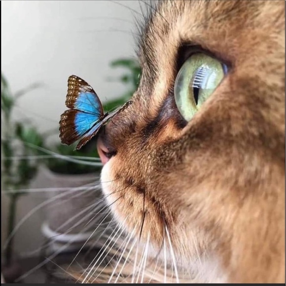 Open for business 24/7 🤩 - Picture 9 of 16